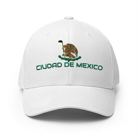 Ciudad de Mexico-2ndShotMVPGolf