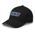 Shanker - Fun MVPFun Hat [FlexFit]Shanker - Fun MVP