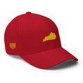 Kentucky - Hat MVP [FlexFit]MVP Hat [FlexFit]Kentucky - Hat MVP [FlexFit]