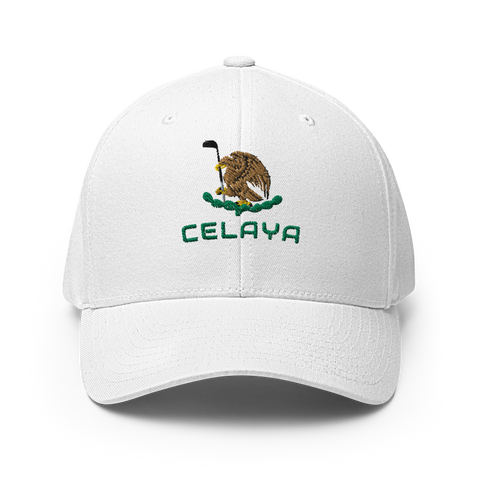 Celaya