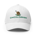 ChicoloapanMexico Hat [white] [flex fit]Chicoloapan