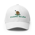 Ciudad AcuñaMexico Hat [white] [flex fit]Ciudad Acuñ