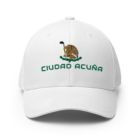 Ciudad Acuña