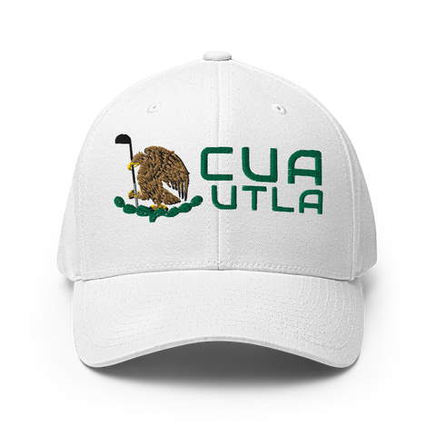 Cuautla Modern