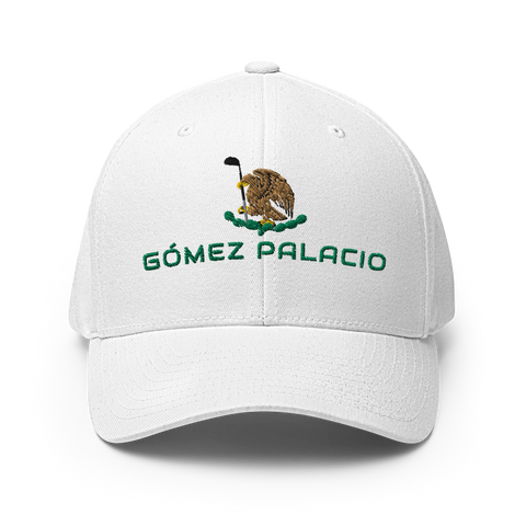 Gomez Palacio