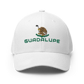 GuadalupeMexico Hat [white] [flex fit]Guadalupe