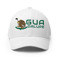 Guadalupe ModernMexico Hat [white] [flex fit]Guadalupe Modern