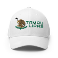 Tamaulipas ModernMexico Hat [white] [flex fit]Tamaulipas Modern