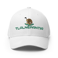 TlalnepantiaMexico Hat [white] [flex fit]Tlalnepantia