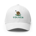 TolucaMexico Hat [white] [flex fit]Toluca