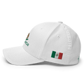 ApodacaMexico Hat [white] [flex fit]Apodaca