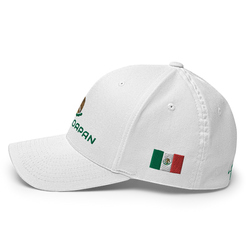 ChicoloapanMexico Hat [white] [flex fit]Chicoloapan