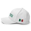 Tamaulipas ModernMexico Hat [white] [flex fit]Tamaulipas Modern