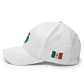 Rooster - Mexico - Fun MVPFun Hat [FlexFit]Rooster - Mexico - Fun MVP