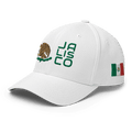 Mexico Hat [white] [flex Fit] - Jalisco Modern