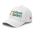 Kawasaki - Country - Japan - [FlexFit]MVP Japan [FlexFit]Kawasaki - Country - Japan - [FlexFit]