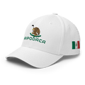 ApodacaMexico Hat [white] [flex fit]Apodaca