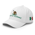 Benito JuárezMexico Hat [white] [flex fit]Benito Juárez