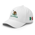 CajameMexico Hat [white] [flex fit]Cajame