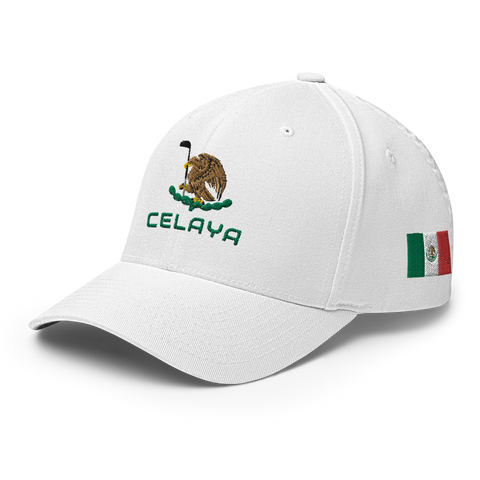 Celaya