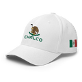 ChalcoMexico Hat [white] [flex fit]Chalco