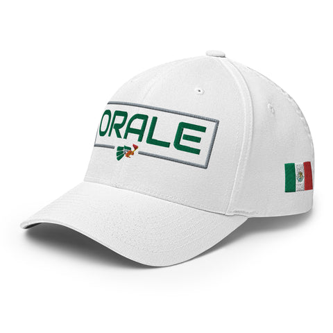 Orale - Fun MVPFun Hat [FlexFit]Orale - Fun MVP