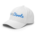 Only Divots - Fun MVPFun Hat [FlexFit]Divots - Fun MVP