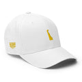 Delaware - Hat MVP [FlexFit]MVP Hat [FlexFit]Delaware - Hat MVP [FlexFit]