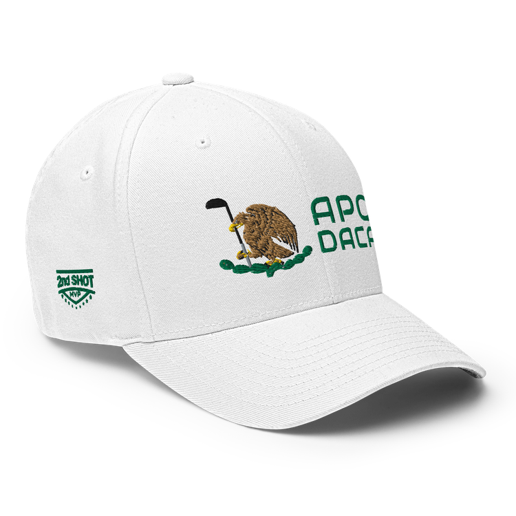 Apodaca ModernMexico Hat [white] [flex fit]Apodaca Modern