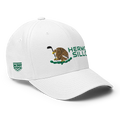 Hermosillo ModernMexico Hat [white] [flex fit]Hermosillo Modern