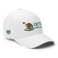 Ixtapaluca ModernMexico Hat [white] [flex fit]Ixtapaluca Modern