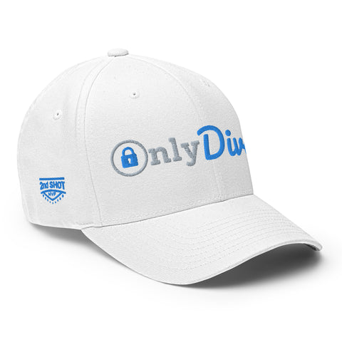 Only Divots - Fun MVPFun Hat [FlexFit]Divots - Fun MVP