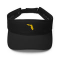 Florida - MVP VisorMVP VisorFlorida - MVP Visor