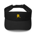 Alaska - MVP VisorMVP VisorAlaska - MVP Visor