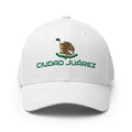 Ciudad Juarez-2ndShotMVPGolf