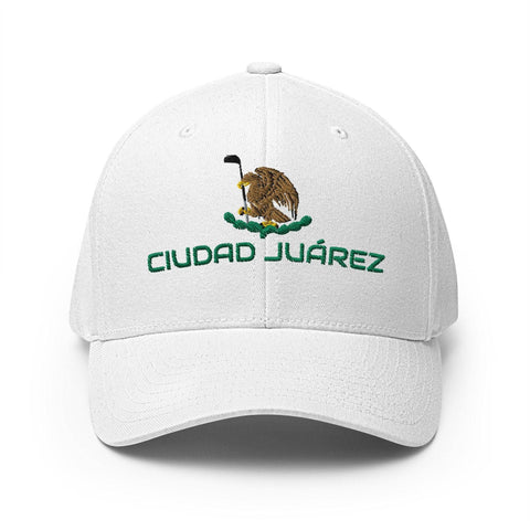 Ciudad Juarez-2ndShotMVPGolf