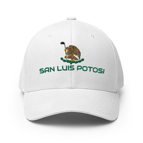 San Luis Potosi-2ndShotMVPGolf