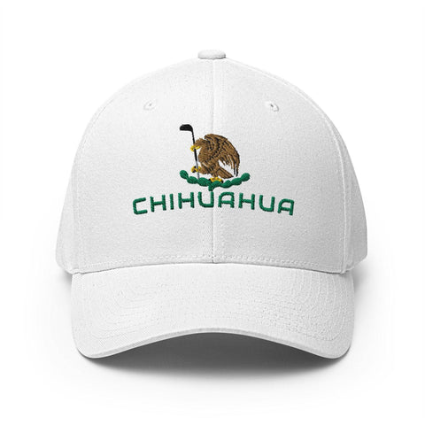 Chihuahua-2ndShotMVPGolf