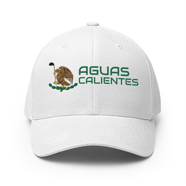 AguasCalientes ModernMexico Hat [white] [flex fit]AguasCalientes Modern