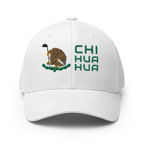 Chihuahua Modern-2ndShotMVPGolf