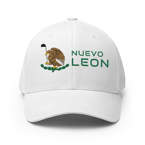 Nuevo Leon Modern-2ndShotMVPGolf