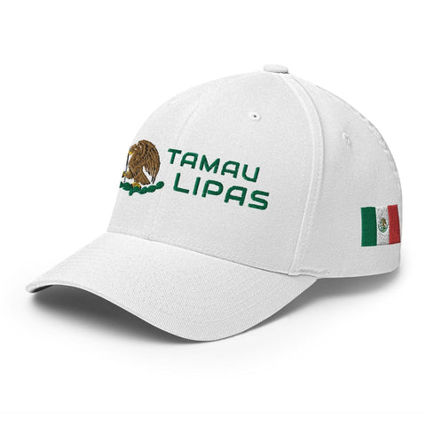 Tamaulipas Modern-2ndShotMVPGolf