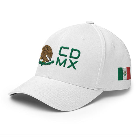 CDMX Modern-2ndShotMVPGolf