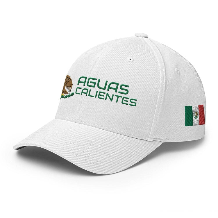 AguasCalientes ModernMexico Hat [white] [flex fit]AguasCalientes Modern