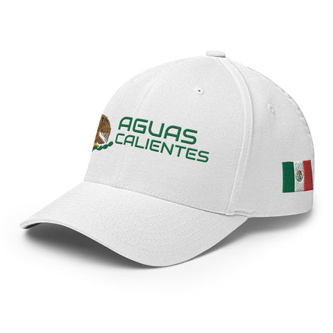 AguasCalientes ModernMexico Hat [white] [flex fit]AguasCalientes Modern