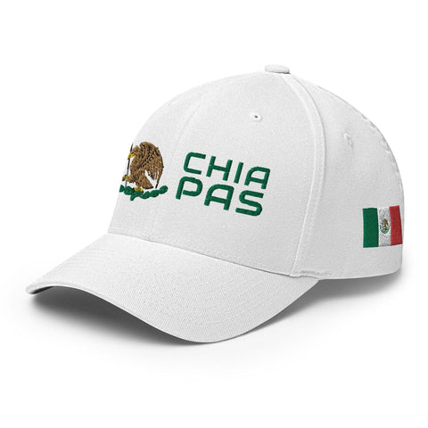 Chiapas Modern-2ndShotMVPGolf