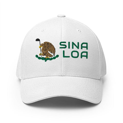 Sinaloa Modern-2ndShotMVPGolf